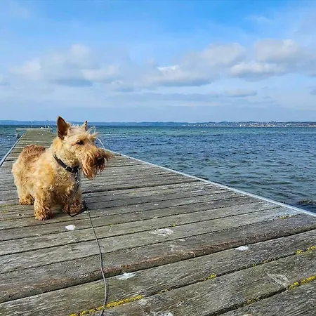 8237-knebel-skraenten-3